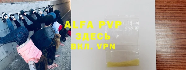 хмурый Арсеньев