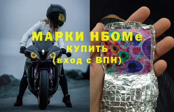 хмурый Арсеньев