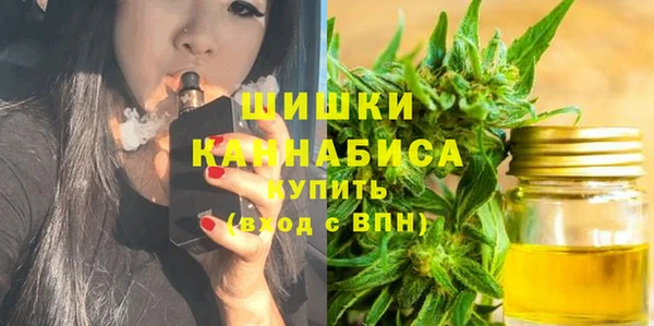 тгк Семёнов