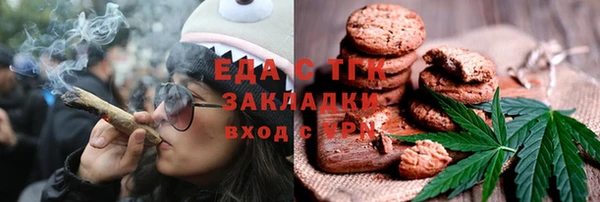 хмурый Арсеньев