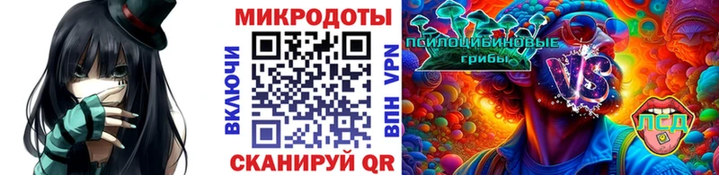 закладки  Лысьва  Псилоцибиновые грибы MAGIC MUSHROOMS 